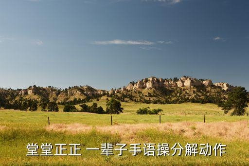 儿童版堂堂正正一辈子舞蹈,堂堂正正走过岁月