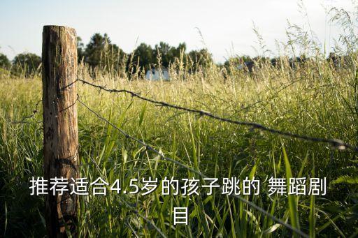 儿童天边舞蹈视频独舞,与我共舞okok中文版舞蹈欣赏视频