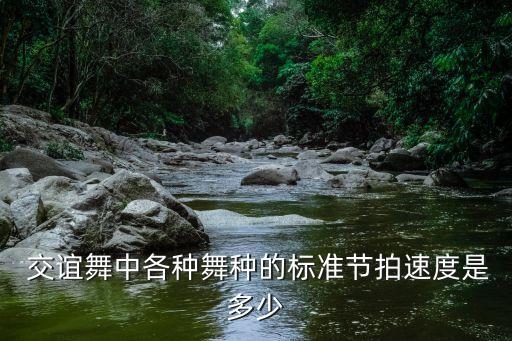 交谊舞北京平四恋恋健身舞蹈,关于什么是交谊舞名?