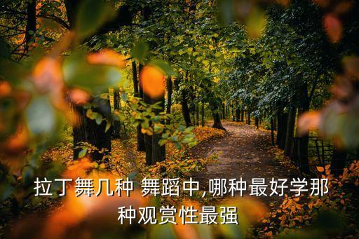 拉丁导师舞蹈视频,学习拉丁舞蹈注意事项