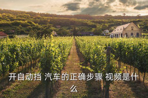 开汽车舞蹈视频,自动挡汽车怎么开?正确方法教给你!