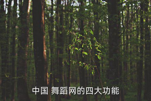 中国 舞蹈网的四大功能