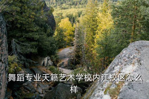  舞蹈专业天籁艺术学校内江校区怎么样