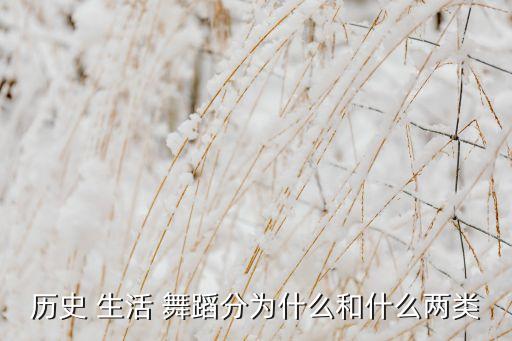 历史 生活 舞蹈分为什么和什么两类