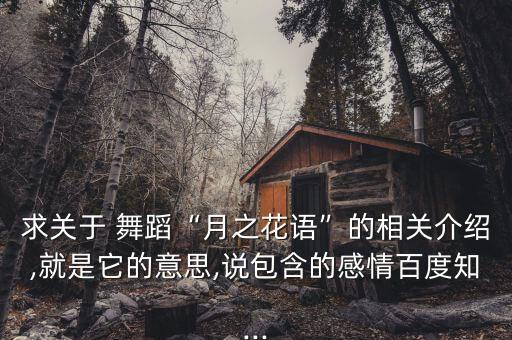 董涵舞蹈,第十届桃花杯:少女独舞表演者:吴换六思展彭羚