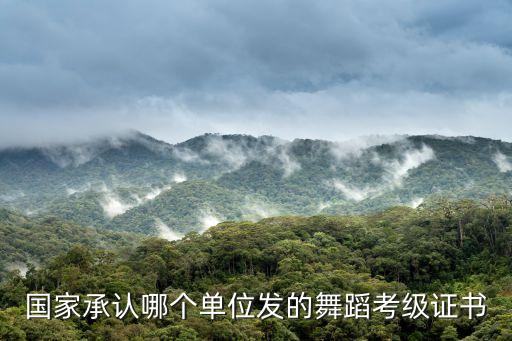 东莞市舞蹈家协会,中国舞蹈家舞蹈分级标准