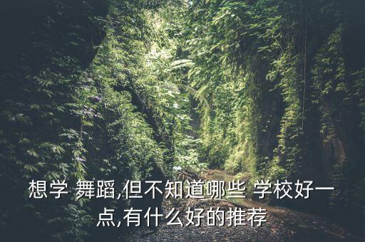 辽宁芭蕾舞团业余舞蹈学校,舞蹈学校多少?