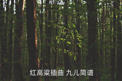  红高粱插曲 九儿简谱