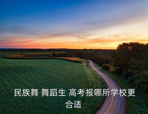 民族舞 舞蹈生 高考报哪所学校更合适