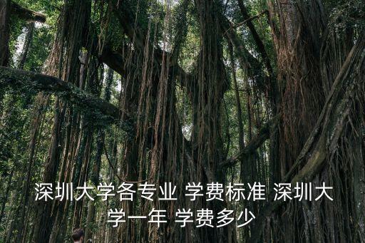  深圳大学各专业 学费标准 深圳大学一年 学费多少