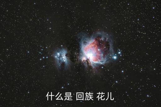 什么是 回族 花儿