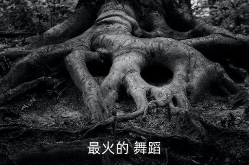 流行舞蹈,最受欢迎的舞蹈当属街舞和爵士舞