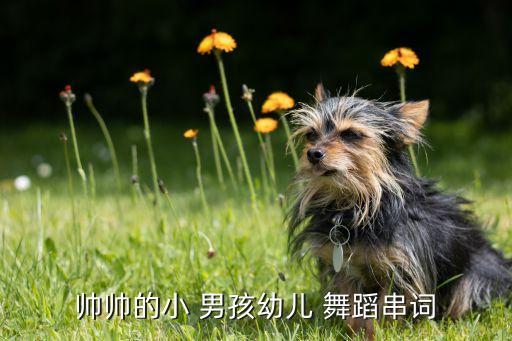 帅帅的小 男孩幼儿 舞蹈串词