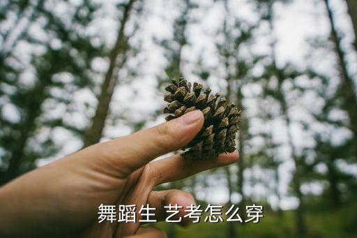  舞蹈生 艺考怎么穿