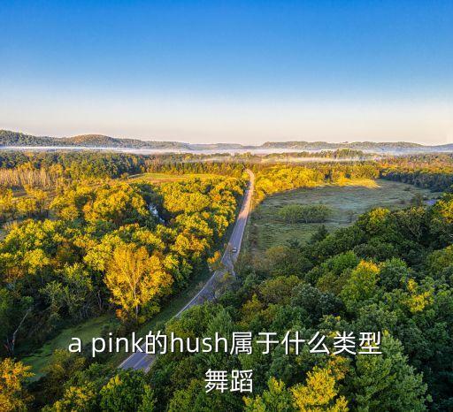 a pink的hush属于什么类型 舞蹈