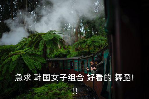 简单好看的韩国舞蹈,韩国四人女团舞蹈（我是五个人