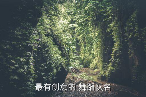 中老年舞蹈队名字大全,本地舞蹈团队名字叫做乐万家广场舞队
