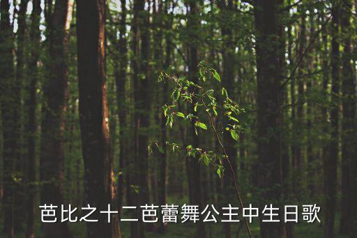 芭比舞蹈视频,芭蕾公主芭蕾少女芭蕾舞鞋亮闪亮登场