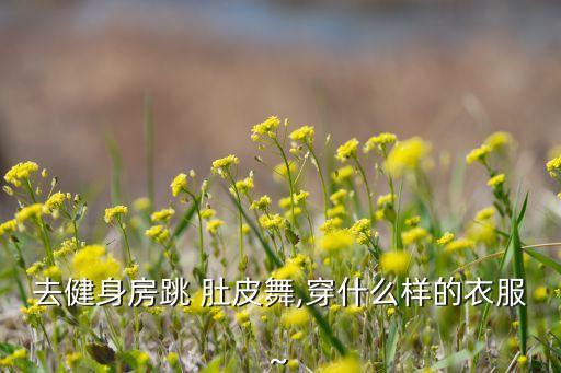 去健身房跳 肚皮舞,穿什么样的衣服~