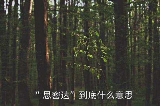 舞蹈视频思密达,我鄙视你放在句子里是什么意思?