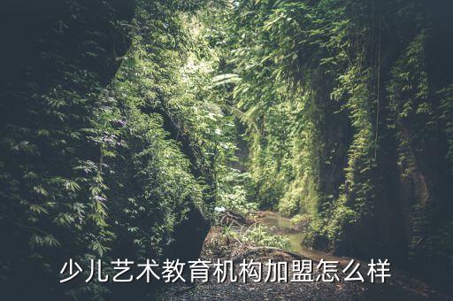 少儿艺术教育机构加盟怎么样