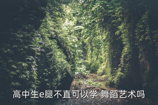 学舞蹈可以把腿练直吗,高中生腿不直可练舞蹈art