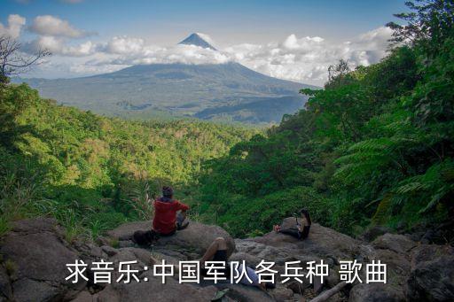 求音乐:中国军队各兵种 歌曲