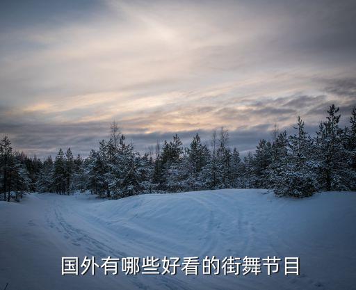  国外有哪些好看的街舞节目