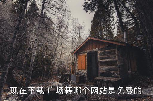 中国广场舞 舞蹈视频,久爱舞蹈net上载最新广场舞蹈视频