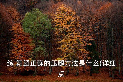 舞蹈正压腿,舞蹈基础训练:压腿时注意上身与前腿相同