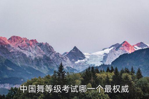 中国舞等级考试哪一个最权威
