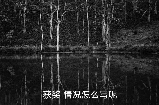  获奖 情况怎么写呢