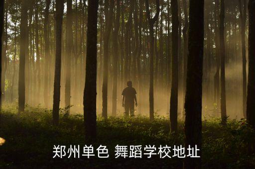 郑州单色 舞蹈学校地址
