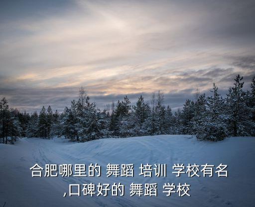 合肥哪里的 舞蹈 培训 学校有名,口碑好的 舞蹈 学校