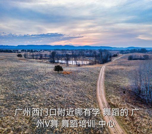 广州舞蹈中心,最专业的团队-舞蹈有多年教学经验的教练