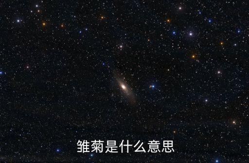 雏菊是什么意思