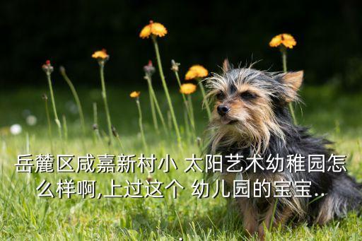 小太阳 幼儿舞蹈,幼儿语言发展是教育核心问题