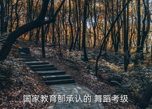 国家教育部承认的 舞蹈考级