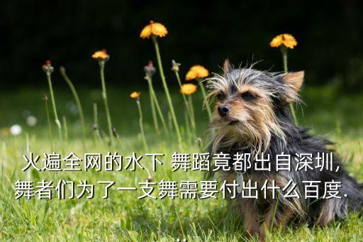火遍全网的水下 舞蹈竟都出自深圳,舞者们为了一支舞需要付出什么百度...