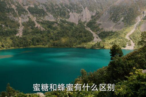 小黑熊采蜜糖舞蹈,关于白蜜你必须知道的5件事】
