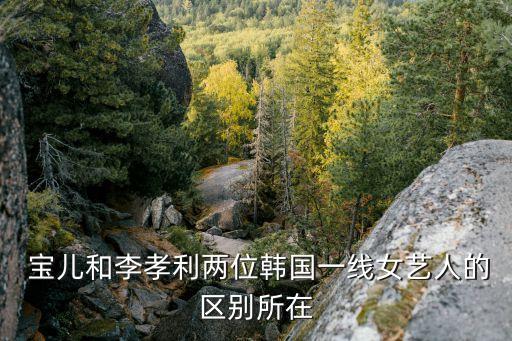  宝儿和李孝利两位韩国一线女艺人的区别所在