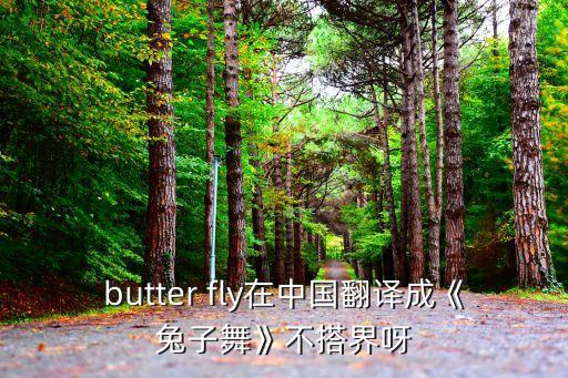 butter fly在中国翻译成《兔子舞》不搭界呀