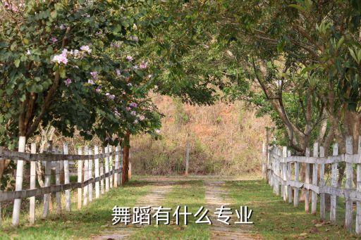 舞蹈方向,艺术学校舞蹈专业学生发展方向:镜像教学