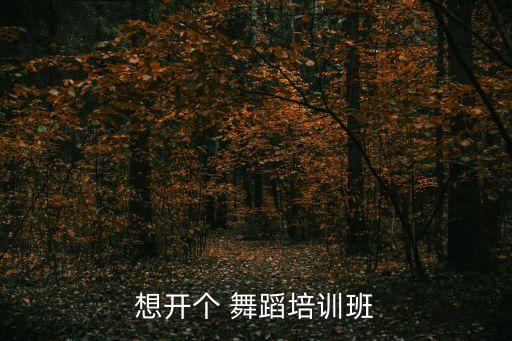 想开个 舞蹈培训班
