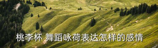 桃李杯舞蹈风筝赏析,舞蹈欣赏:古典芭蕾