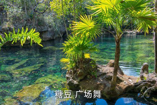 广场舞  你让我感动舞蹈教学,无声广场舞》让人感动更敬佩