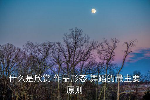 什么是欣赏 作品形态 舞蹈的最主要原则