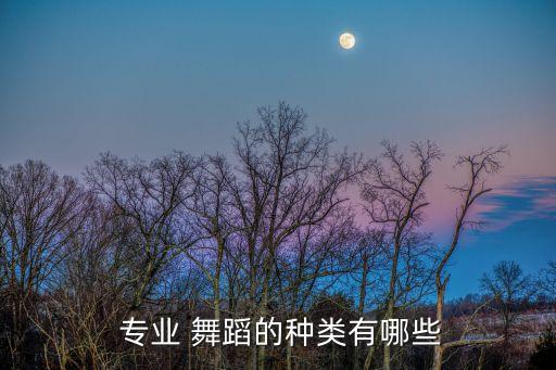  专业 舞蹈的种类有哪些