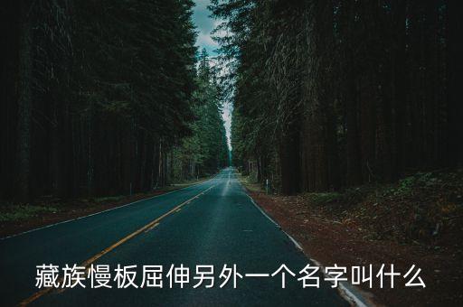 最新西藏舞蹈,藏族民间舞蹈以腰部为主力展开一顺变