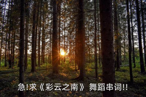 急!求《彩云之南》 舞蹈串词!!